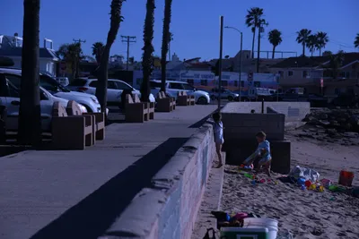 DSC_0821 (Large).JPG